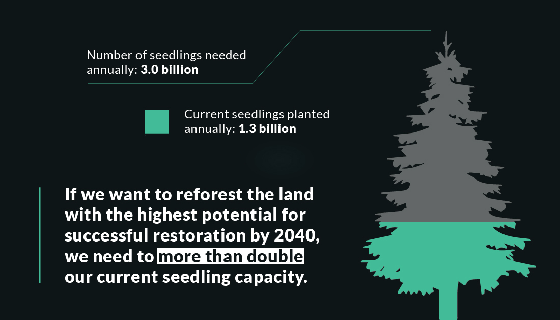 Graphic with tree image: Number of seedlings needed annually: 3.0 billion; current seedlings planted annually: 1.3 billion