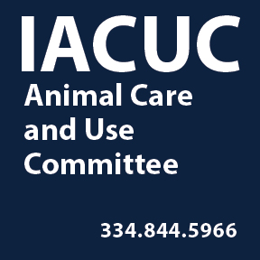 Animal Care and Use Committee