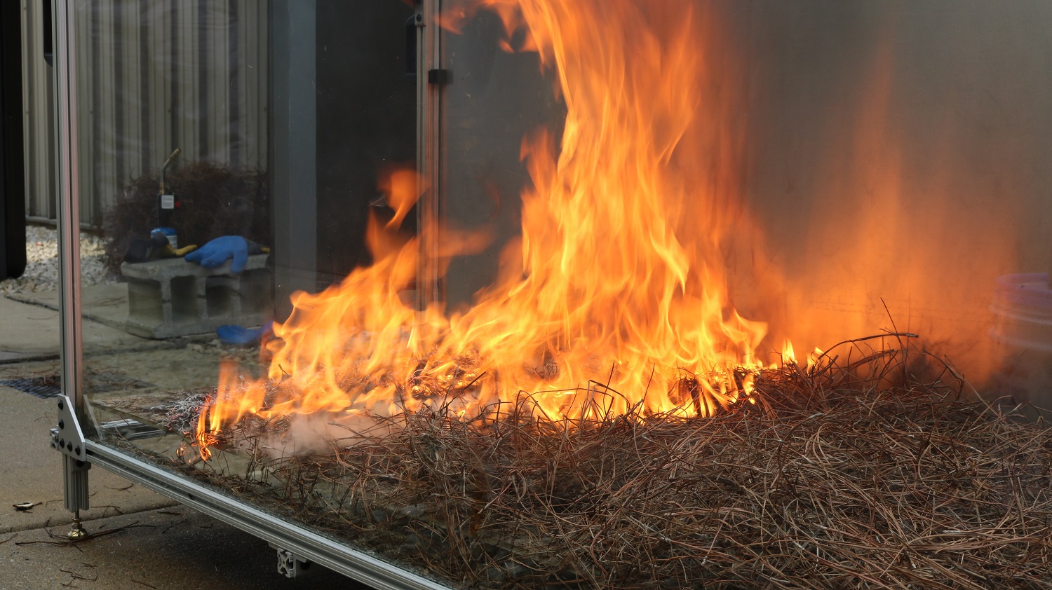 flames and pine needles in wildfire research apparatus