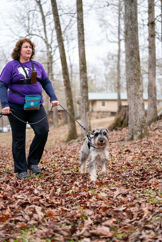 Heidi Kluess walks a dog outdoors