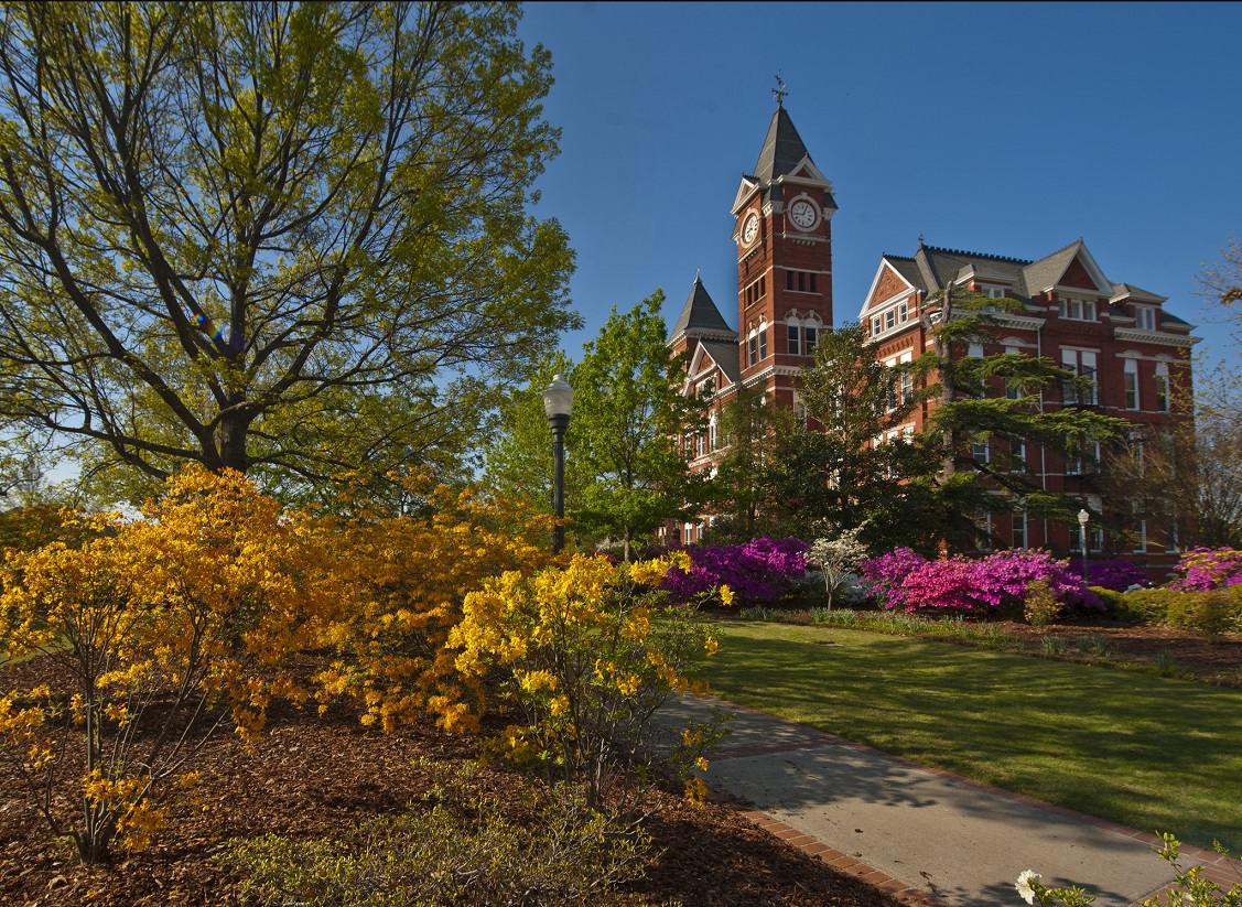 Auburn University's Samford Hall surrounded by trees and azaleas in spring