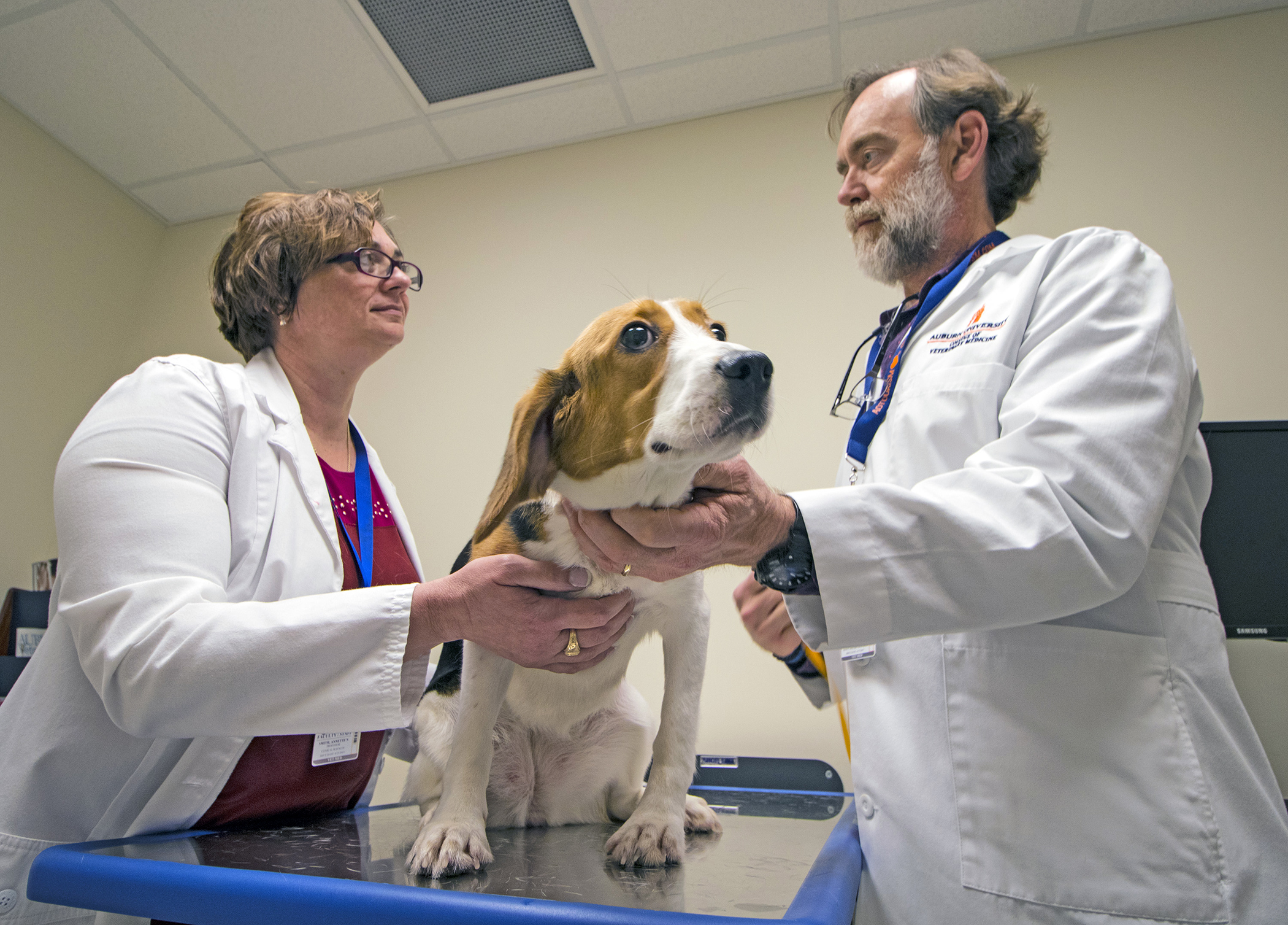 Dr. Annette Smith, left, the Robert and Charlotte Lowder Distinguished Professor in Oncology with the Department of Clinical Sciences, and Dr. Bruce Smith, a professor in the Department of Pathobiology and director of the Auburn University Research Initiative in Cancer, or AURIC, are shown with a canine patient in an exam room at the Wilford and Kate Bailey Small Animal Teaching Hospital.