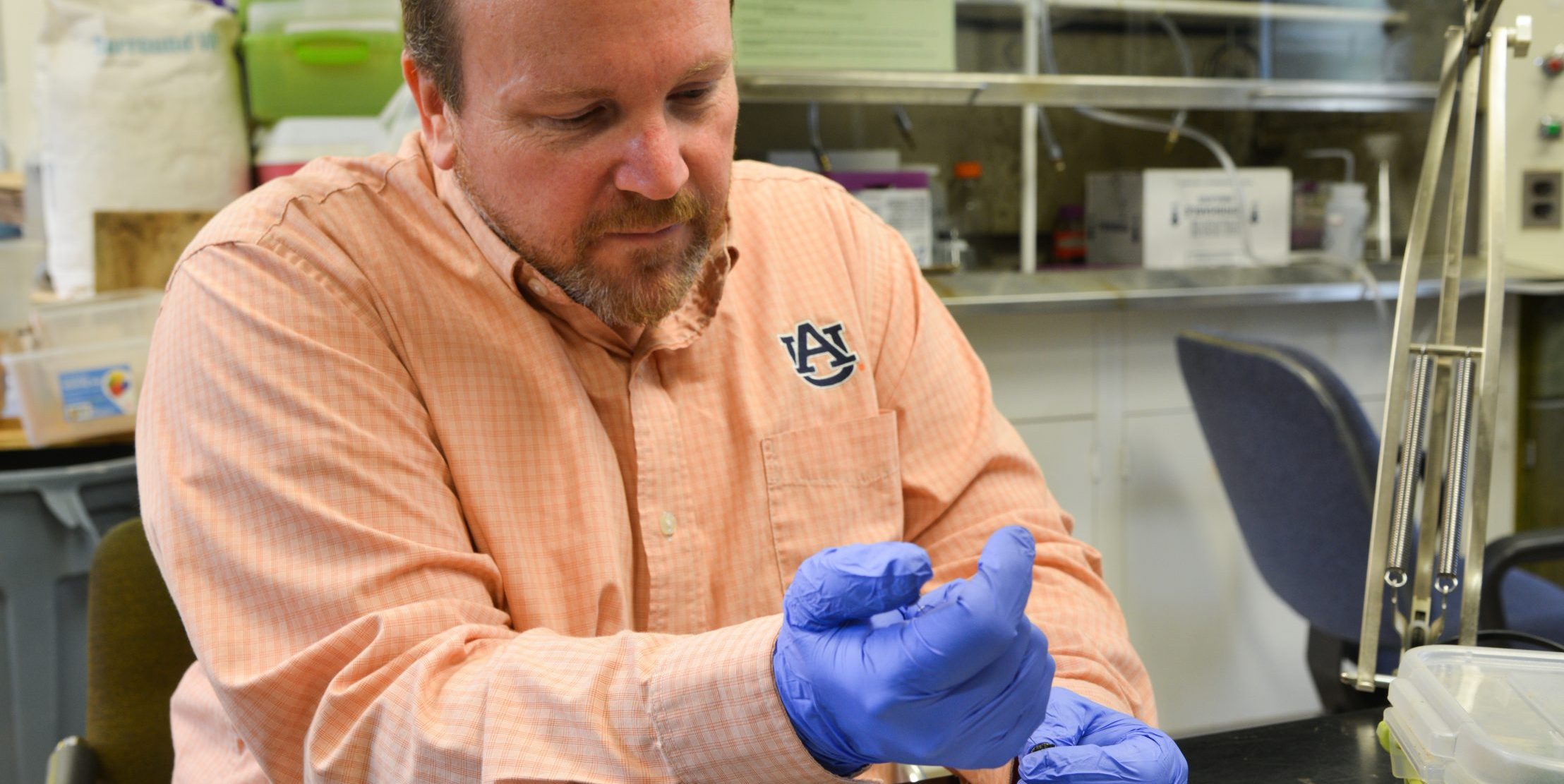 David Held working in laboratory