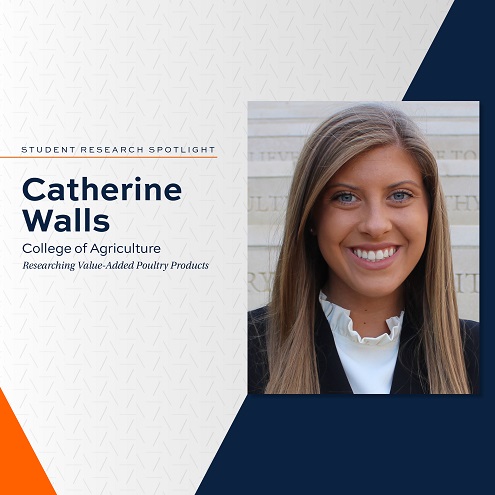 orange and blue Student Research Spotlight graphic with photo of Catherine Walls, College of Agriculture, Researching Value-Added Poultry Products