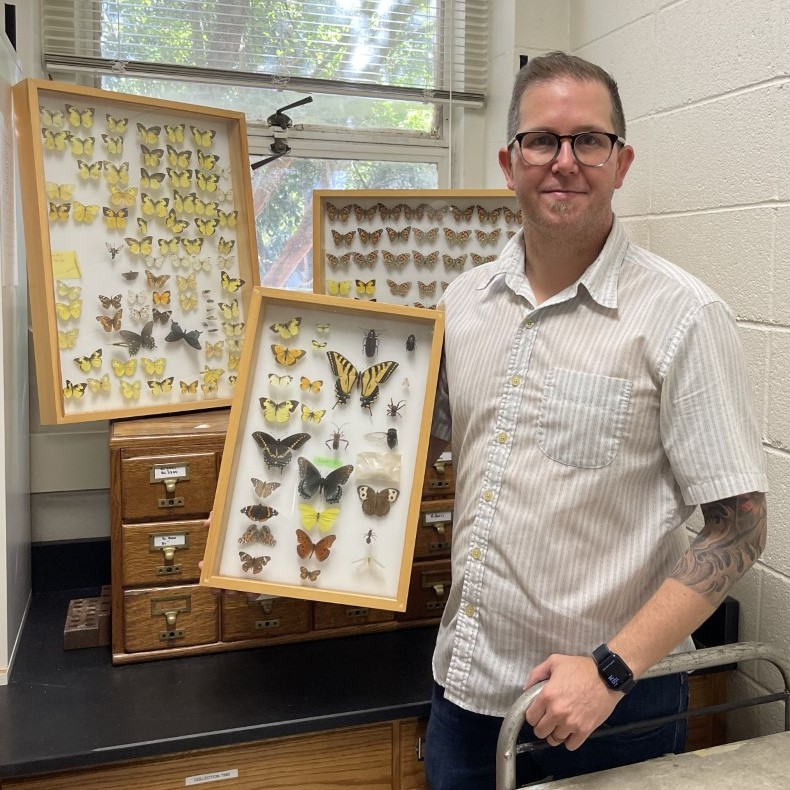 Brian Counterman displays butterfly specimens.