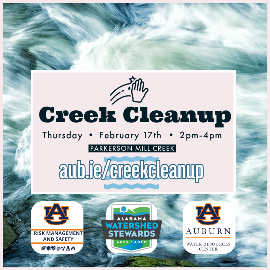 Creek Cleanup Announcement