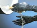 Butyl Gloves High permeation resistance to most chemicals. 