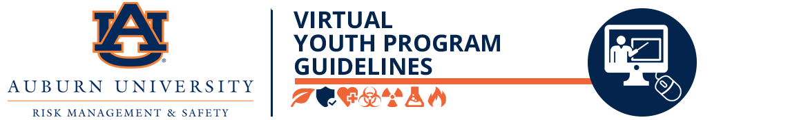 Virtual Youth Program Guidelines Banner