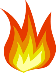 Flame Icon